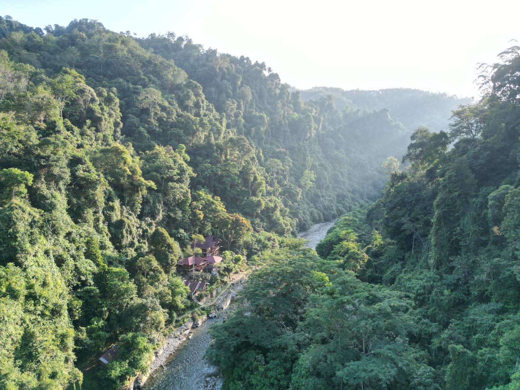 Kupu Kupu Garden Guest House & Cafe 武吉拉旺 外观 照片