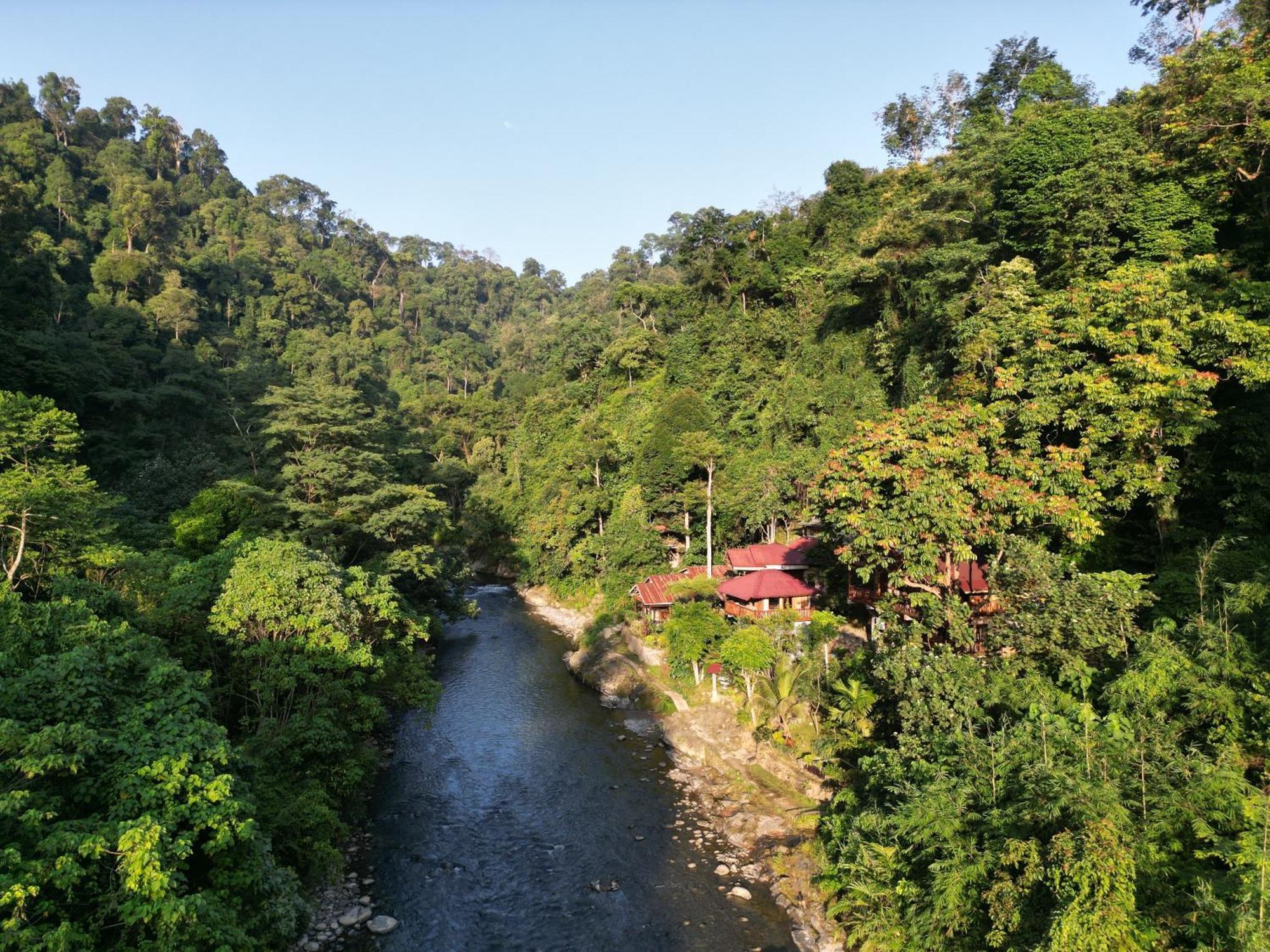 Kupu Kupu Garden Guest House & Cafe 武吉拉旺 外观 照片